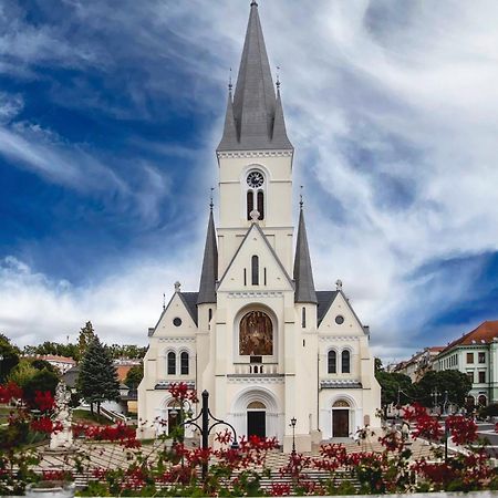 Hotel Kapos Kaposvár エクステリア 写真